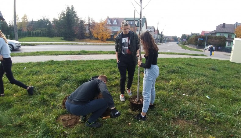 Podopieczni placówki "Zbuntowane Anioły” posadzili w Suwałkach 10 drzew, fot. Iza Kosakowska