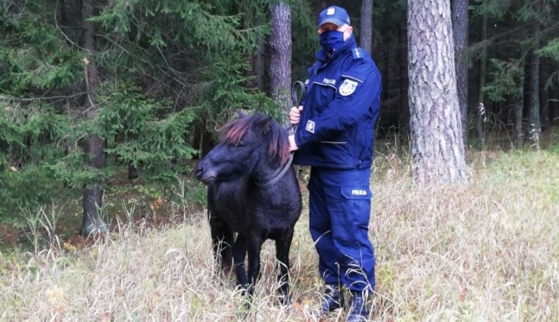 Źródło: KPP w Augustowie