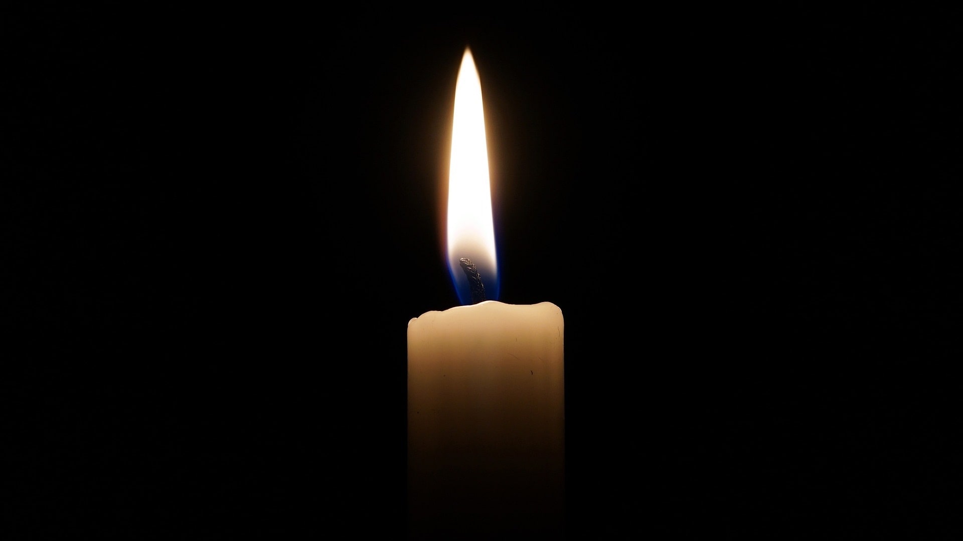 źródło: pixabay.com